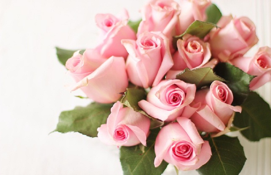 Beginner’s Mistakes While Buying Quality Flowers