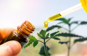 cbd oil reviews