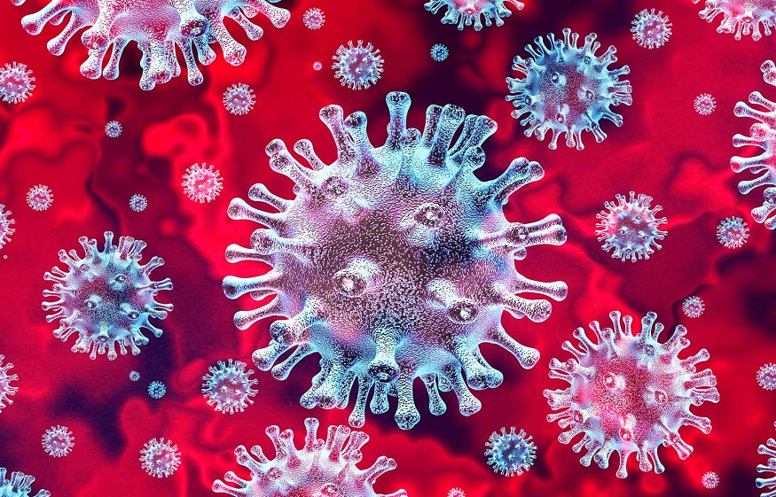Plasma Proteins: Components and Function
