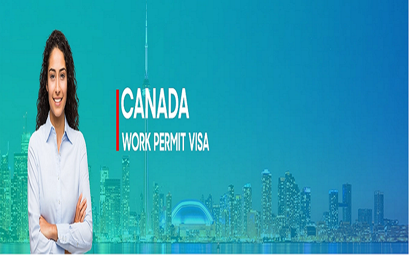 Who Can Benefit from Canada’s Work Permit Consultants?